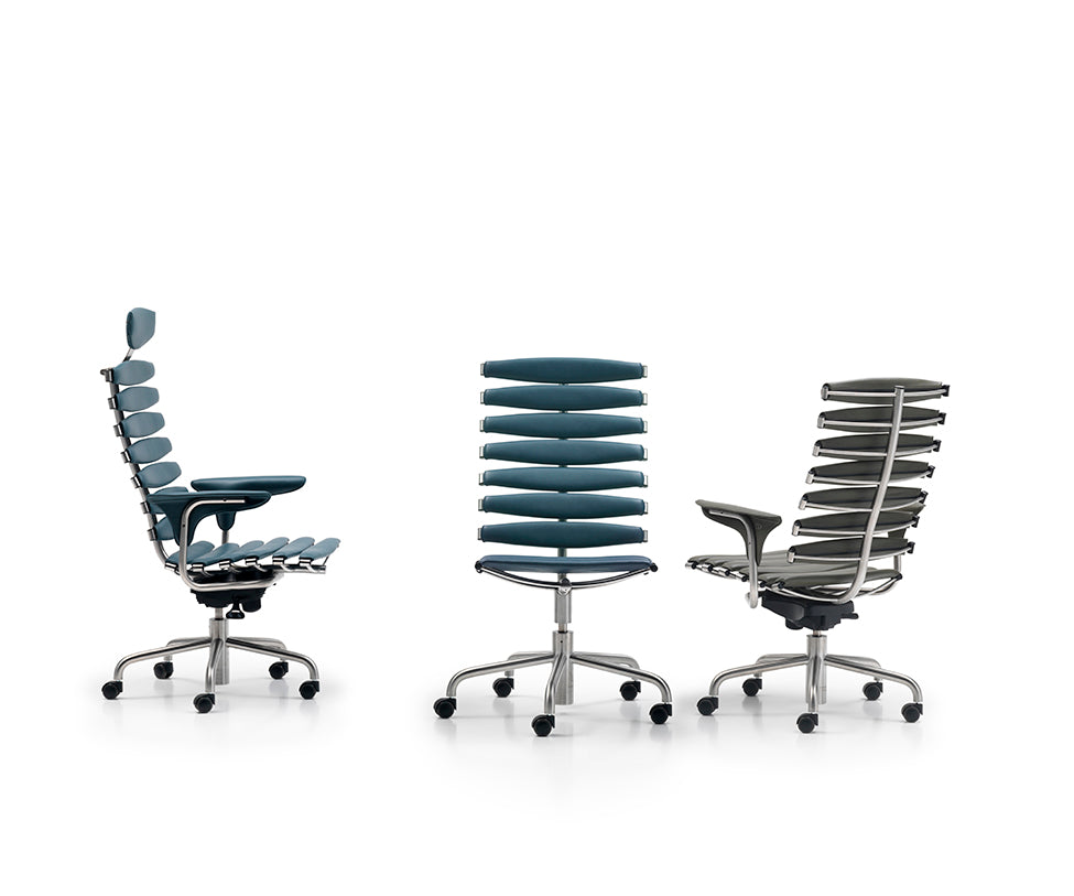 DS-2100 Office Chair | De Sede