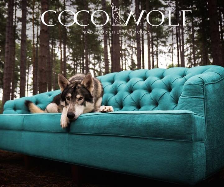 Coco wolf, bringing indoor living to the outdoor