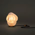 High End 100t Table Lamp by Bocci Casa Design Group