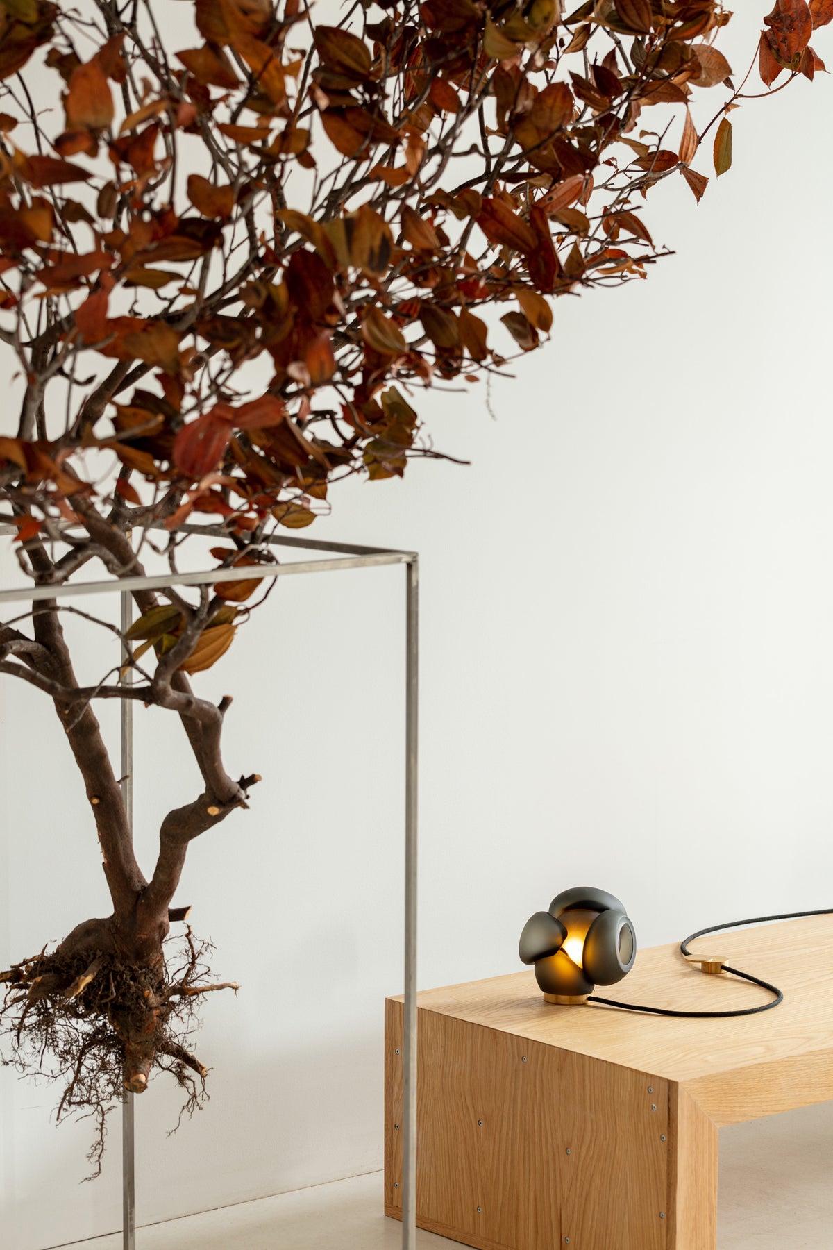 High End 100t Table Lamp by Bocci Casa Design Group