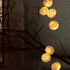 High End 118 Random by Bocci Casa Design Group