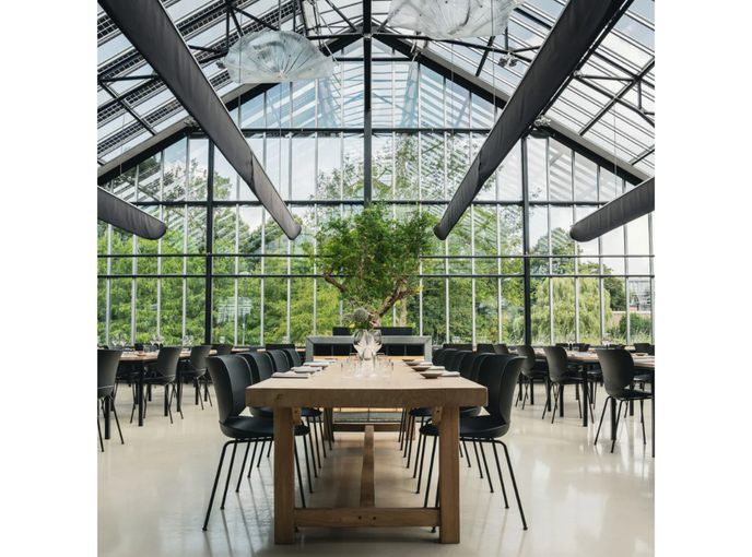 High end Hana Stacking Dining Chair by Moooi Casa Design