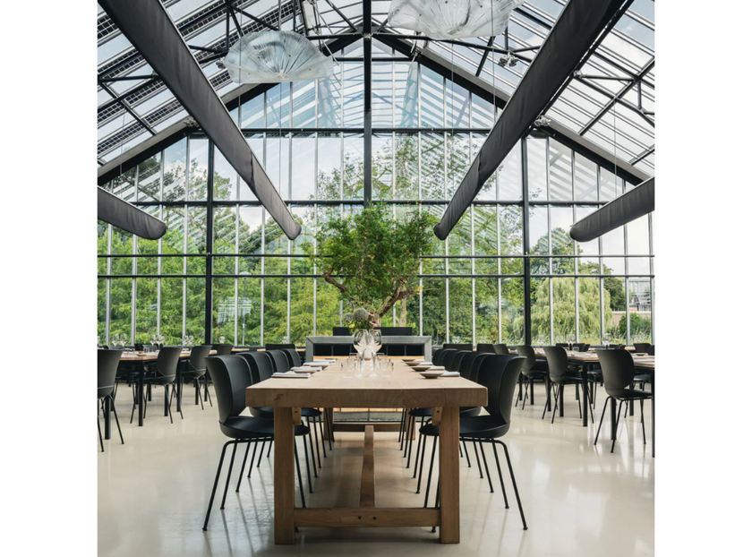 High end Hana Stacking Dining Chair by Moooi Casa Design