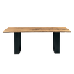 Newton Briccola Dining Table Riva 1920