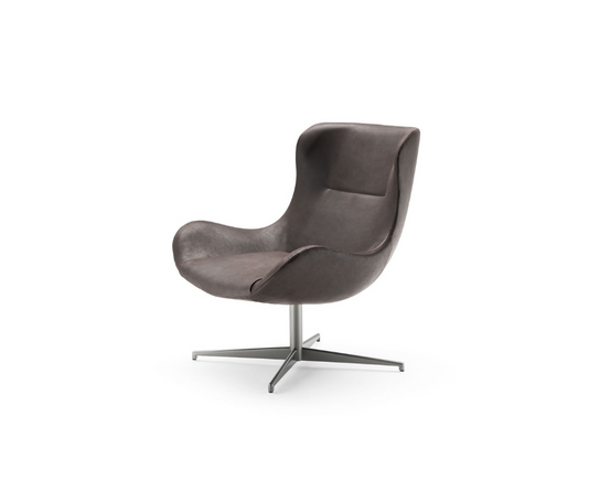 Oolong Lounge Chair Living Divani 