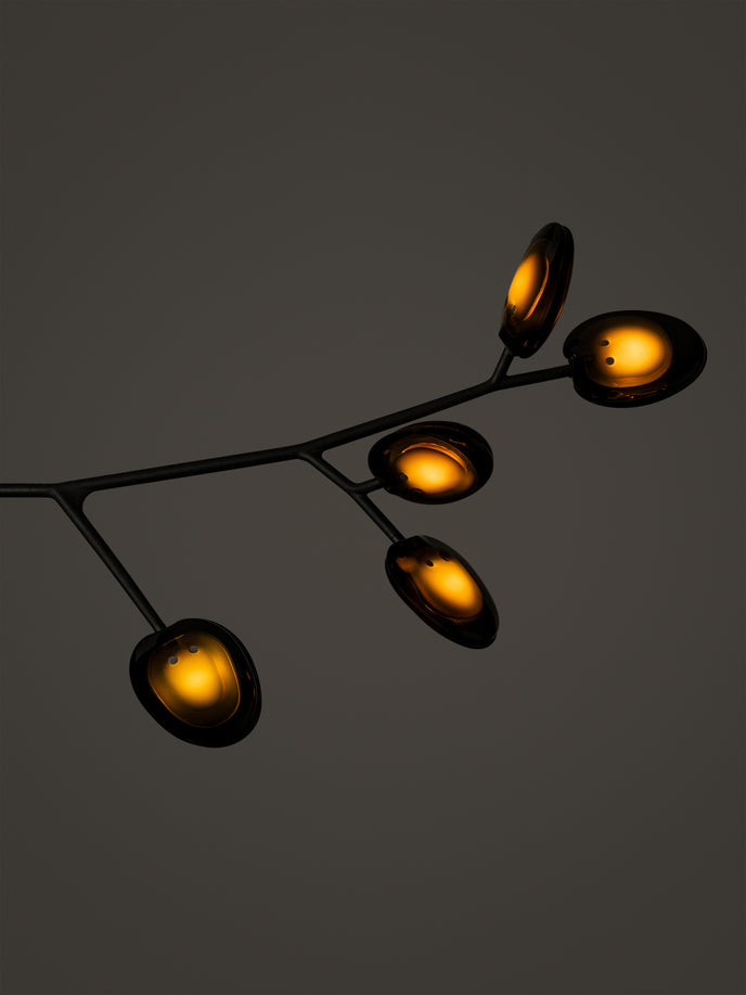 High End 16.9a.1 Armature Ceiling Lamp by Bocci Casa Design Group
