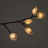 High End 16.9a.1 Armature Ceiling Lamp by Bocci Casa Design Group