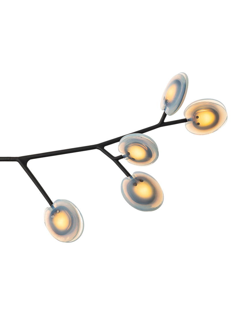 High End 16.9a.1 Armature Ceiling Lamp by Bocci Casa Design Group