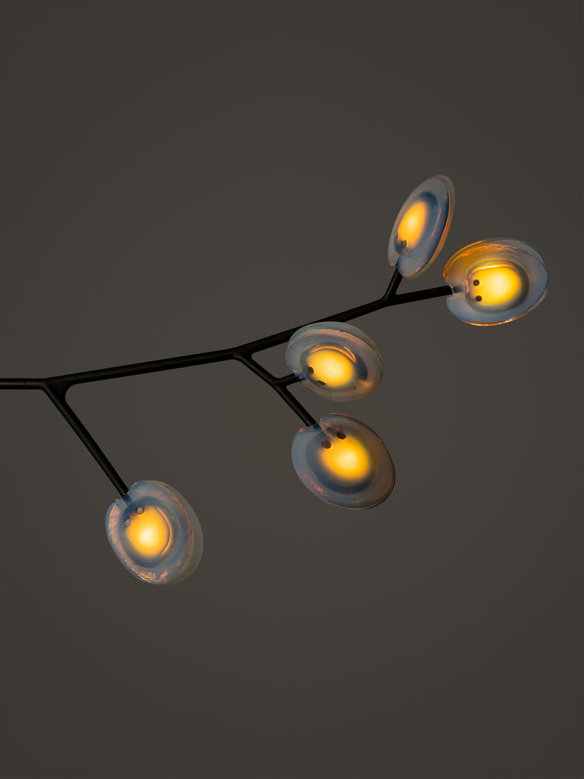 High End 16.9a.1 Armature Ceiling Lamp by Bocci Casa Design Group
