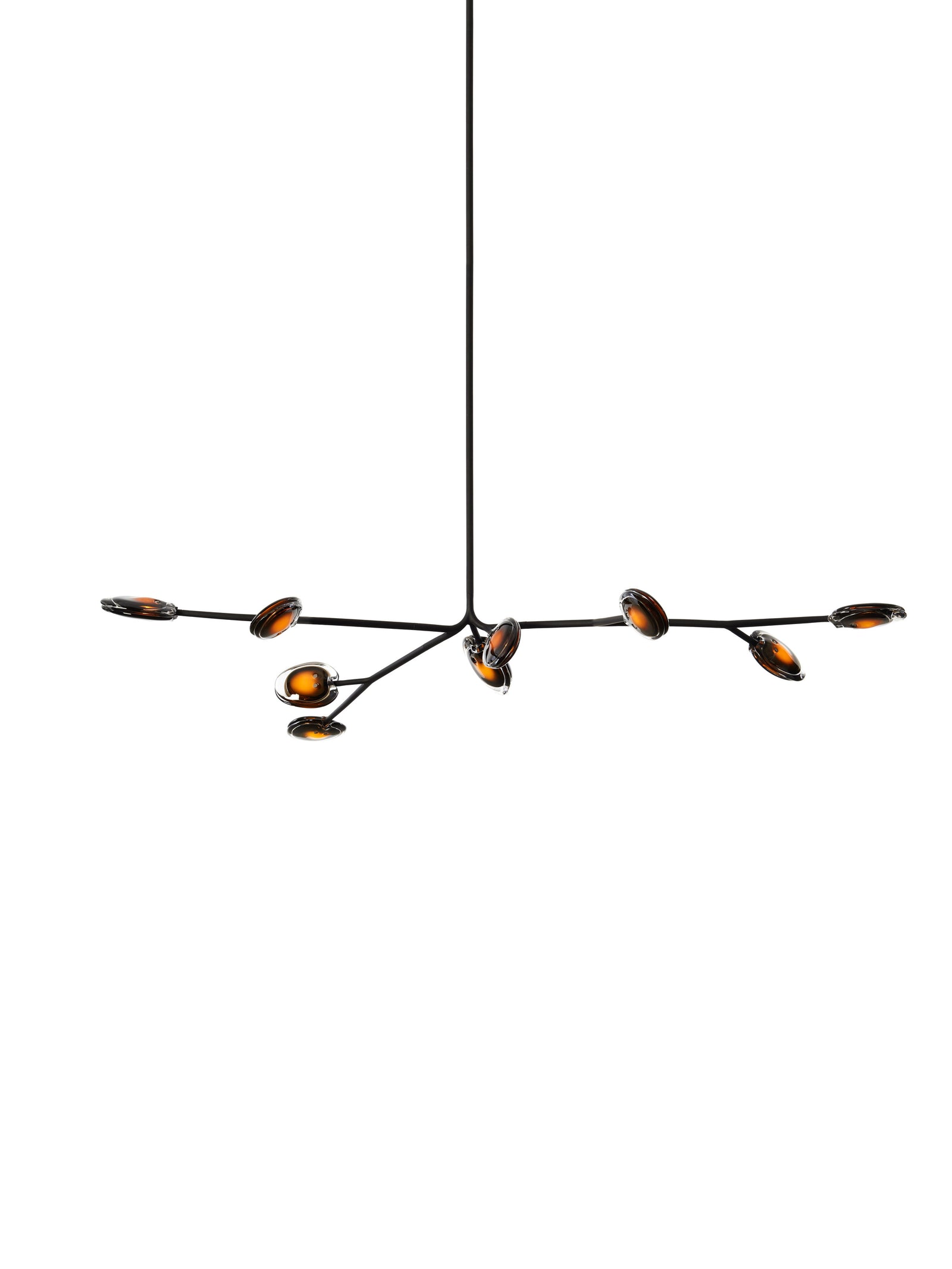 High End 16.9a.1 Armature Ceiling Lamp by Bocci Casa Design Group