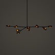 High End 16.9a.1 Armature Ceiling Lamp by Bocci Casa Design Group