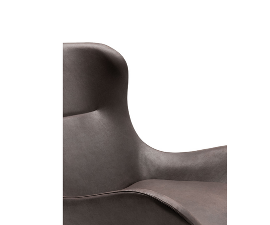 Oolong Lounge Chair Living Divani