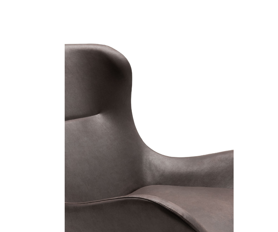 Oolong Lounge Chair Living Divani 