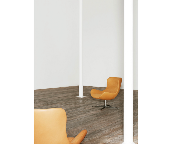 Oolong Lounge Chair Living Divani