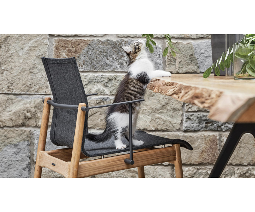 Sway Teak Stacking Dining Chair with Arms Gloster 