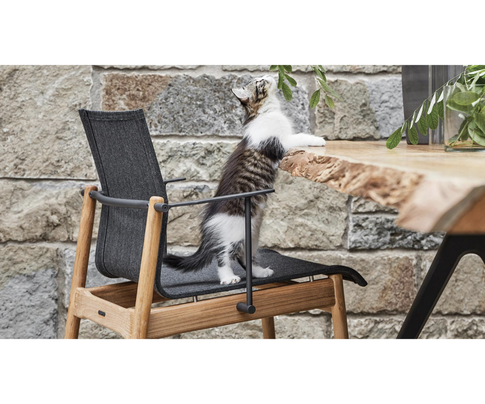 Sway Stacking Dining Chair with Arms Gloster 
