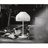 Tatou Lamp Flos