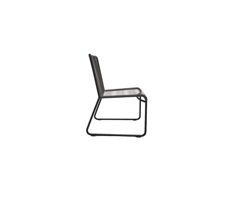 Harp 349 Dining chair RODA 