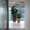 AU Planter Atelier Vierkant 
