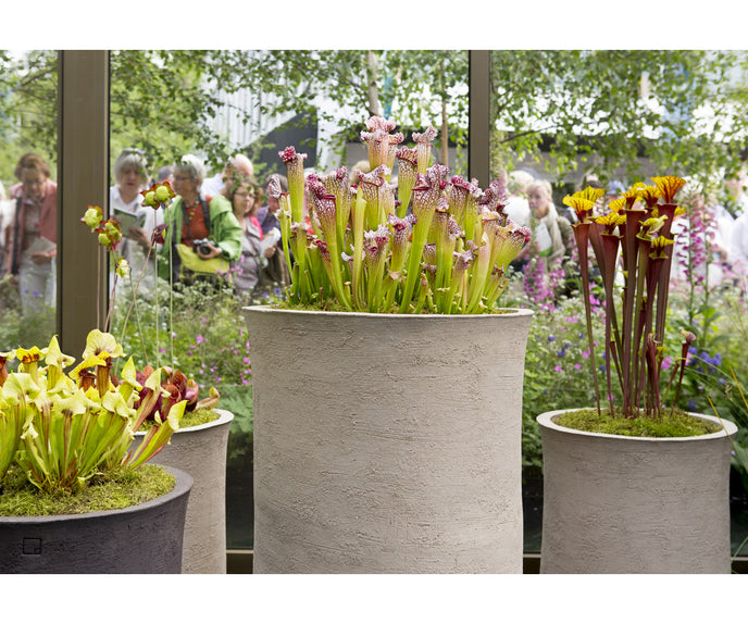 CLO Planter Atelier Vierkant 