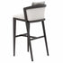 Coronet Barstool Upholstered Back I Coco Wolf