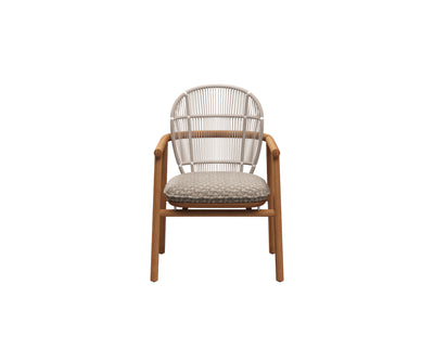 Fern Dining Chair With Arms Gloster 