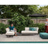 Flows Daybed Manutti 