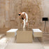 GBmodular Dining Armchair Gandia Blasco 