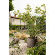 CB Planter Atelier Vierkant