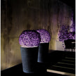 MR Planter Atelier Vierkant 