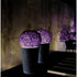 MR Planter Atelier Vierkant 