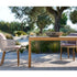 Senja Dining Chair | Tribù