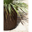 Cortica Planters | Roda