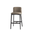 Siloe Bar Stool Frag 