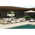 Tamarindo Rectangular Coffee Table I Coco Wolf