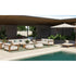 Tamarindo 2 Seater Sofa I Coco Wolf