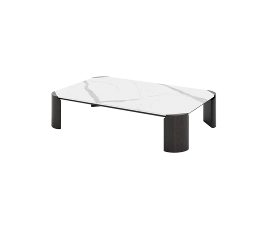Tamarindo Rectangular Coffee Table I Coco Wolf