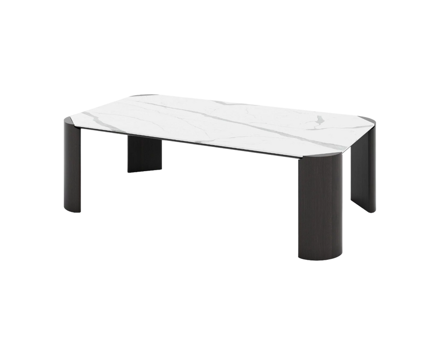 Tamarindo Rectangular Dining Table I Coco Wolf