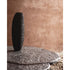 Brut Coffee Table Tacchini 