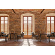 Timeless Dining Armchair Gandia Blasco