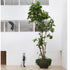 U Planter Atelier Vierkant