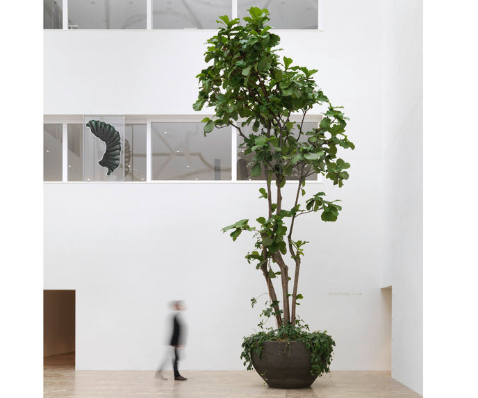 U Planter Atelier Vierkant