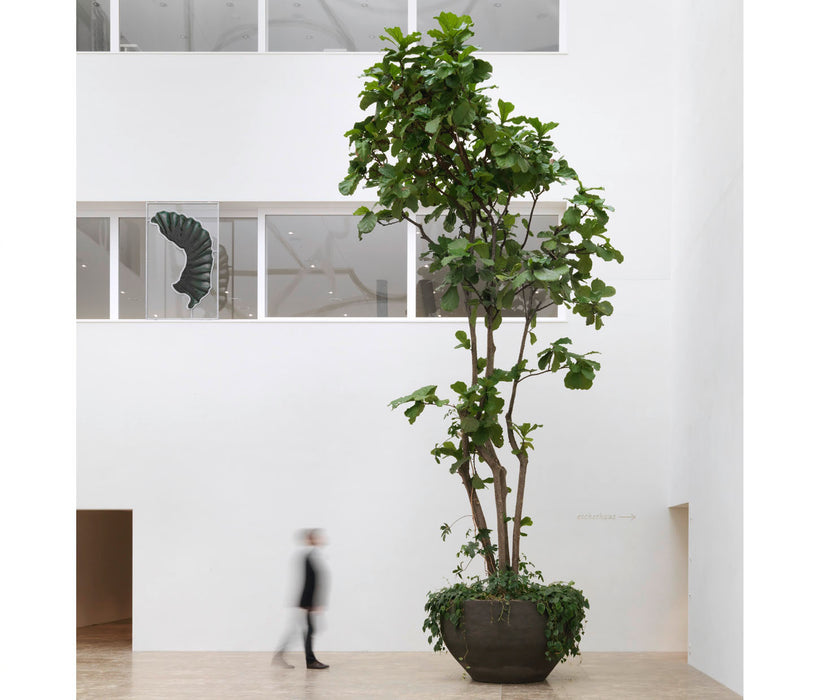 U Planter Atelier Vierkant