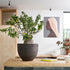 U Planter Atelier Vierkant