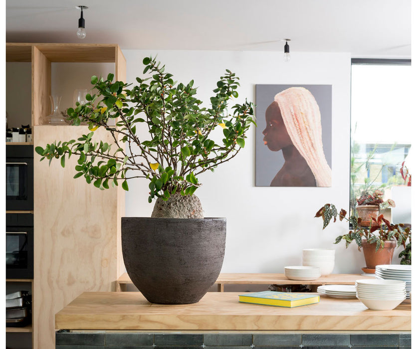 U Planter Atelier Vierkant