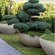U Planter Atelier Vierkant