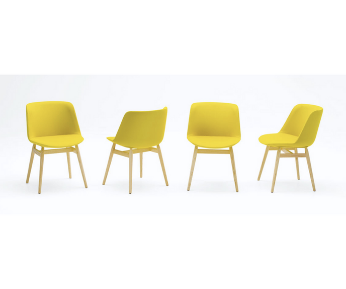Elegant Adele Dining Chair in Solid Ash Wood Base by Paola Lenti Casa Design Group