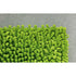 Hand-Tufted Air Outdoor Rug by Paola Lenti Casa Design Group