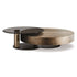Arena Coffee Table by Cattelan Italia with a hand-brushed wood top and rotating glass extensions.