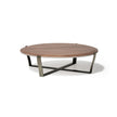 Aristo XL .24 Coffee Table by Capital with a round solid wood top and metallic base.